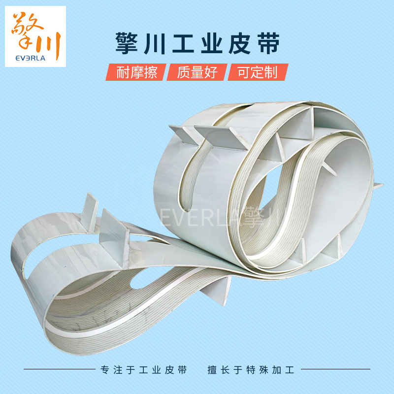 尼龍輸送皮帶輸送帶和耐熱輸送皮帶輸送帶中間